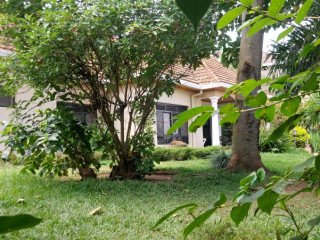 Kigali pool house available for rent Kacyiru near American Ambassador residence