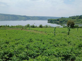 Gatsibo muhazi plot for sale