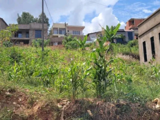 Rebero plot for sale