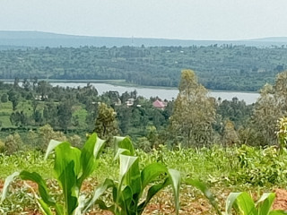 Ibibanza bigurishwa Rwamagana Fumbwe