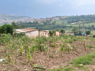 Plot for sale in kinyinya