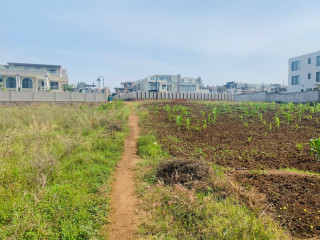 Ep 097 kinyinya very nice and cheapest many plots for sale: 300k Rwf/Sqmt