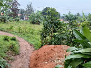 FOR SALE kinyinya ( Please contact me [***] 