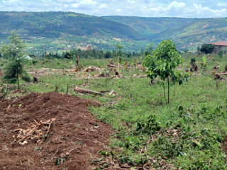 MUYUMBO NTEBE PLOT FOR SALE