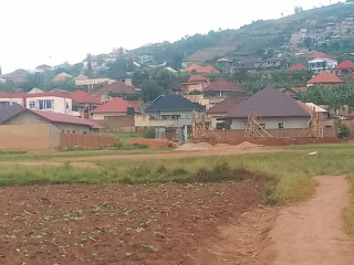 Masizi bumbogo plot for sale