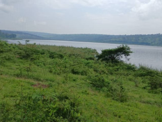 GATSIBO MUHAZI LAND FOR SALE