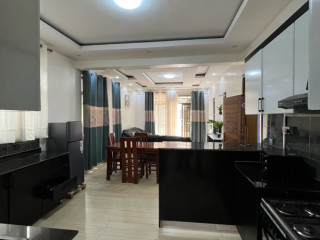 Kigali furnished apartment for rent in Kagarama spot view