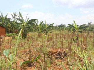 Land on Lake for sale in Bugesera near airport of Rwanda
