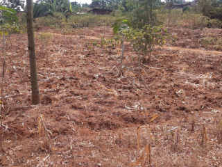 Residential Plot for sale in Bugesera near airport Hot deal Rilima