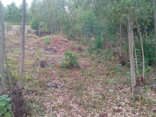 Kigali Land for sale in Rebero Rujugiro
