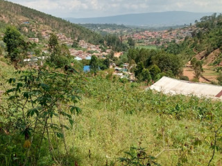 BUMBOGO