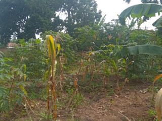 Kigali Plot for sale in Kinyinya