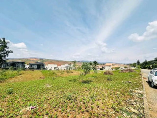 Remera around Bk Arena