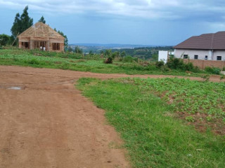 Plot for sale in busanza at a good price