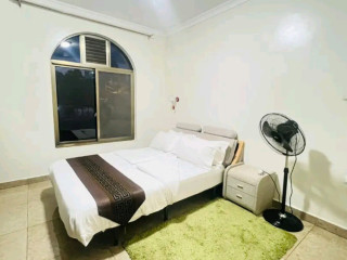 Gishushu near RDB building furnished apartment for rent