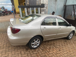 Toyota altis