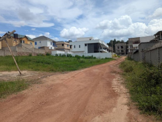 Nyarutarama plot for sale