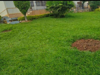 Gishushu unfurnished house for rent in Kigali