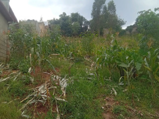 Kigali Land for sale in Gisozi