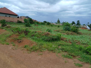 Plot for sale in busanza at a good price