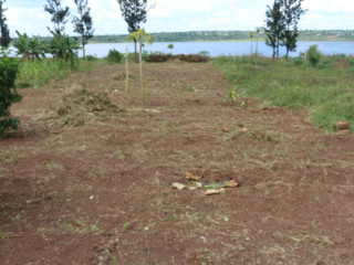 Land for sale in Bugesera Gashora near airport of Rwanda