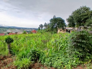 Property for sale in rusororo