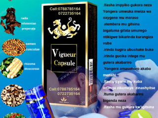Vigpower Capsules
