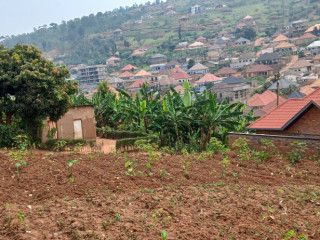 Plot for sale at masizi