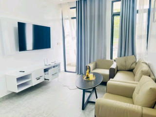 Gisozi near ULK furnished apartment for rent