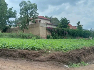 Plot for sale in bastinda