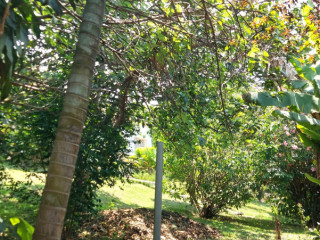 Kigali Nice house available for rent in Kacyiru