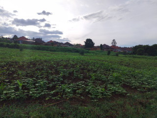 Ikibanza kigurishwa busanza 25 million