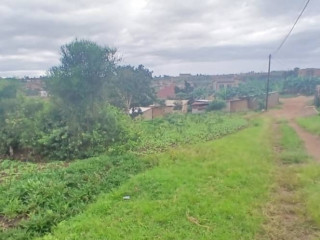 Plot for sale in busanza at agood place