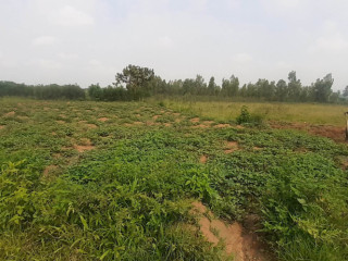 Plot for sale in Bugesera near airport Hot deal