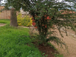 Kigali House for sale in Gisozi
