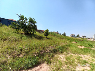 FOR SALE ( Please contact me )