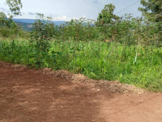 Piot for sale in rugende at agood place