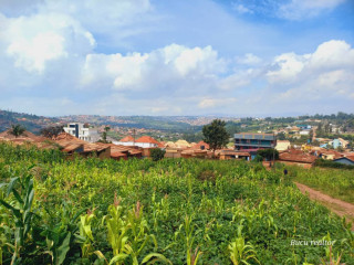 BIREMBO