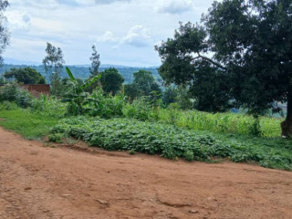 Proparty for sale in rusororo