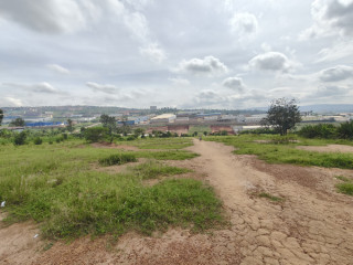 Good land