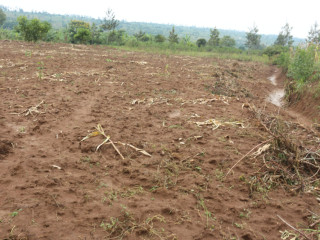 Land for sale in Bugesera Batima of Rwanda