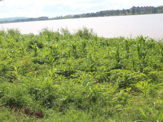 Land for sale in Bugesera near airport access on Lake
