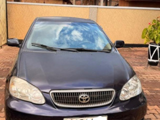 Toyota altis