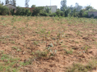 Land for sale in Bugesera near airport of Rwanda