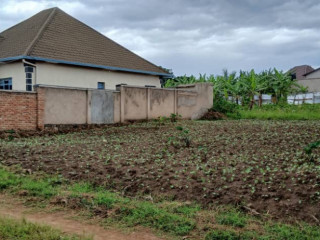 Plot for sale in busanza at a good price