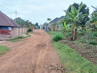 Busanza plot for sale