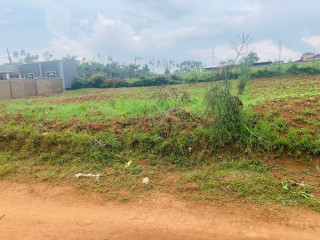 Ep 092 Rusororo plot for sale Rusororo very nice plot for sale at cheaper price@70M Rwf