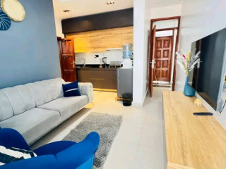 Remera furnished 1bedroom apartment for rent at 730k in good location