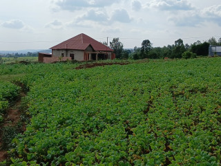 RUSORORO RUHANGA PLOT FOR SALE