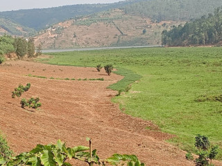 Agricultural land for sale at gatsibo